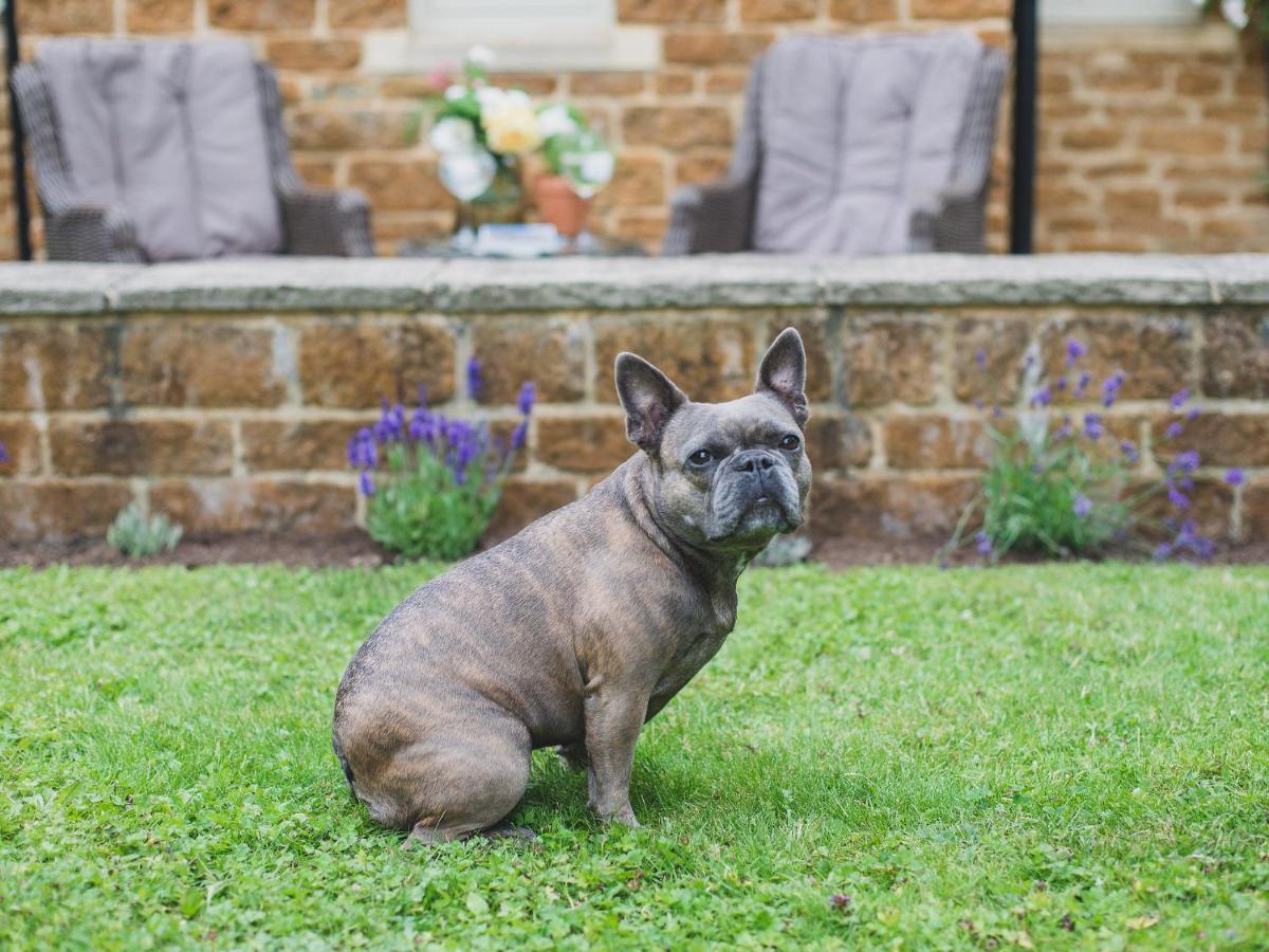 Climbing Rose Cottage - Dog Friendly - Peaceful Cotswold Cottage Adlestrop المظهر الخارجي الصورة
